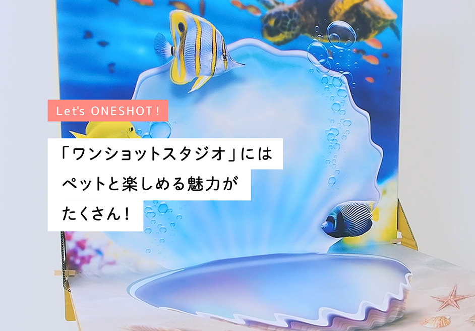 Let's ONESHOT! 「ワンショットスタジオ」にはペットと楽しめる魅力がたくさん！